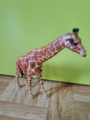 Gyraphe schleich 2003