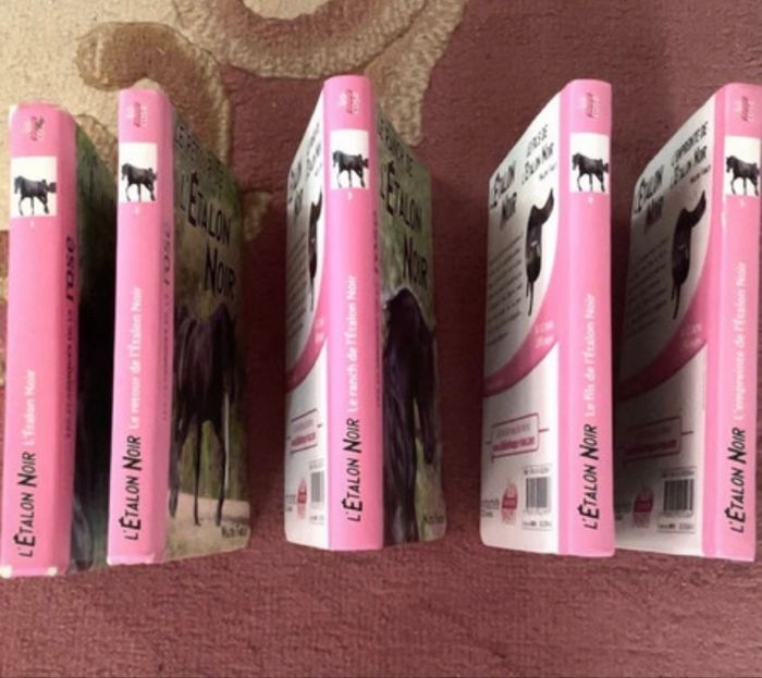 Lot 11 livres - photo numéro 3