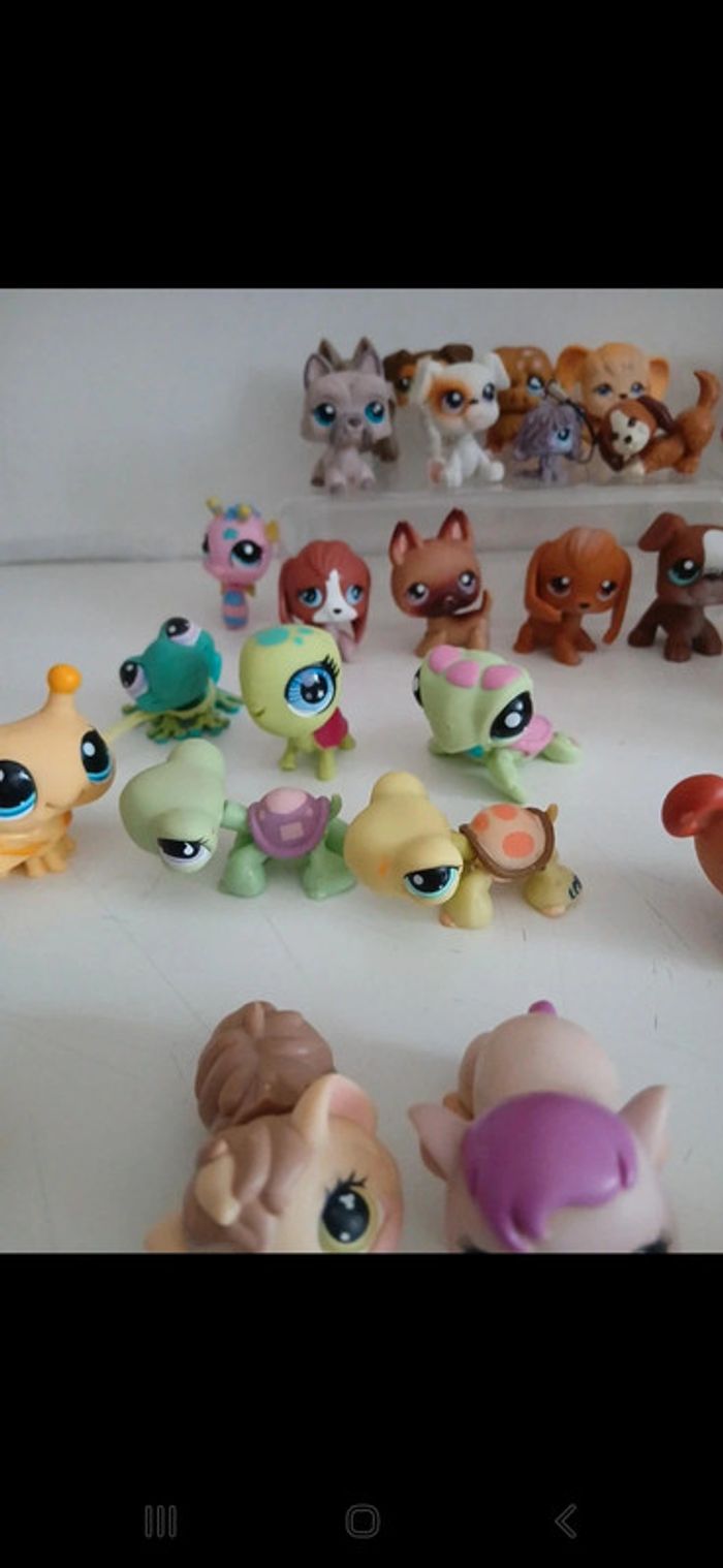 Littlest petshop - photo numéro 10