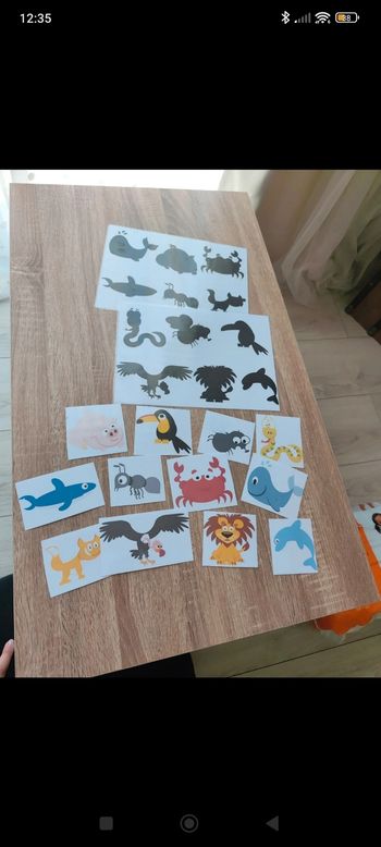 Activité enfant ombre/couleur