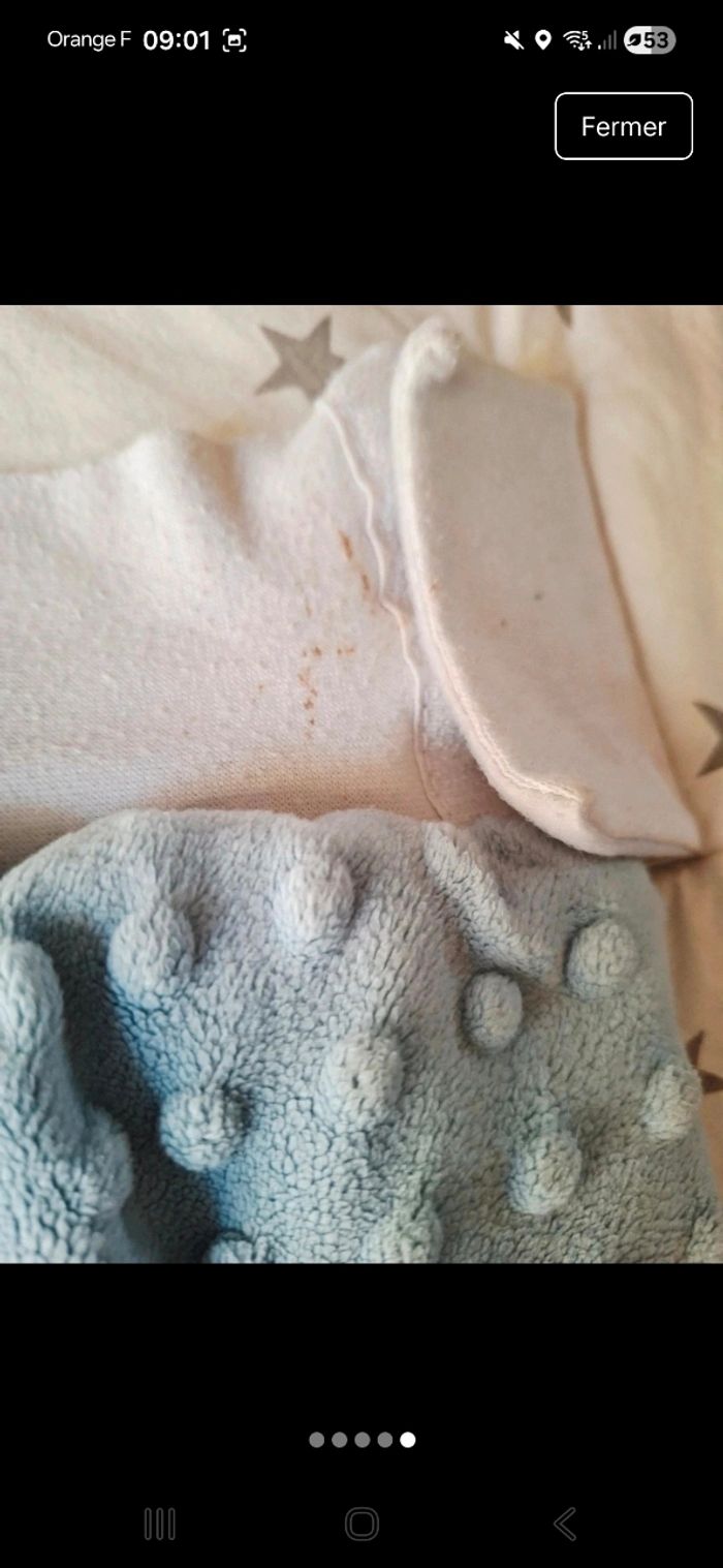 Nid d'ange - photo numéro 4