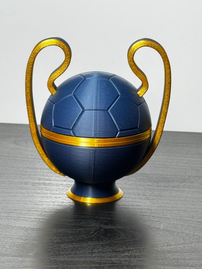 Ballon LDC PSG - photo numéro 4