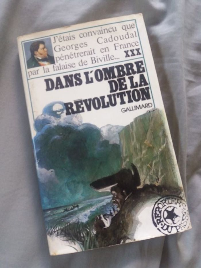 Livre Dans l'ombre de la révolution