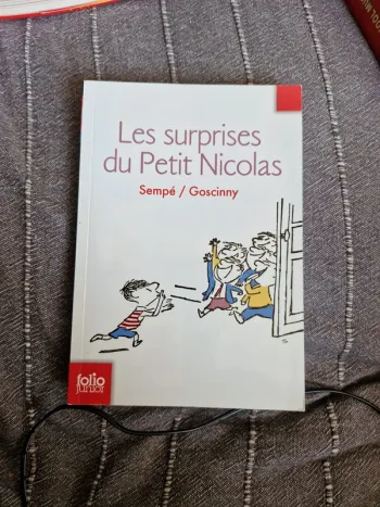 Livre "Les surprises du Petit Nicolas "