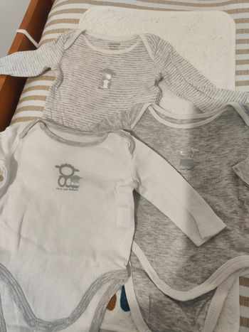 Lot de 3 bodies Okaïdi taille 3mois