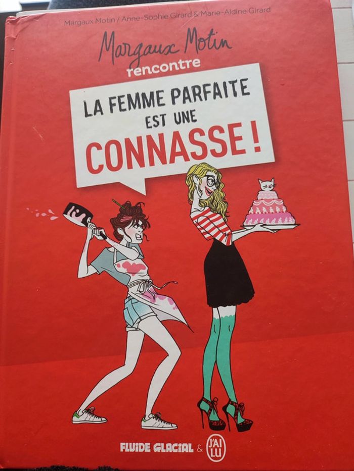 Bd illustrée la femme parfaite est une connasse