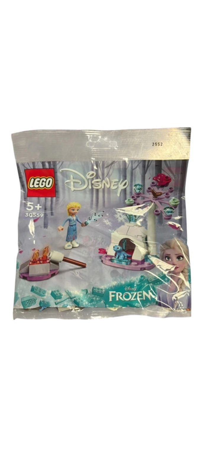 Lego Disney Frozen 30559 la reine des neiges Elsa et Bruni camp dans la forêt neuf