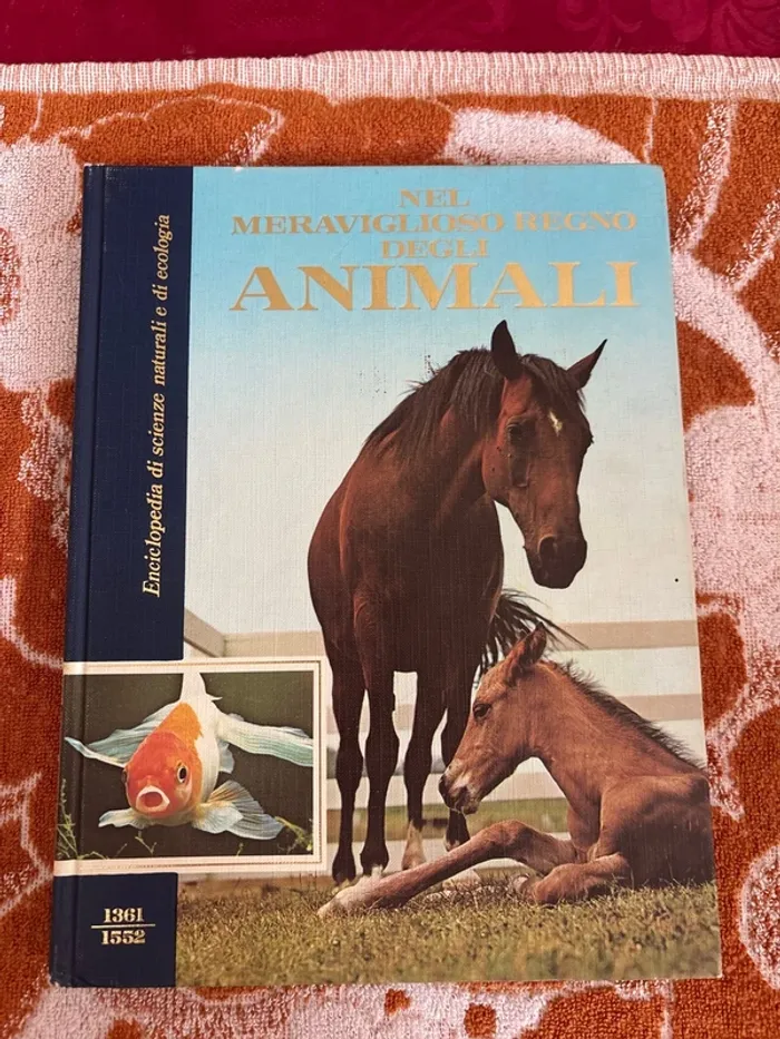 Bel meraviglioso regno d’église animali