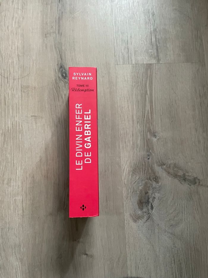 Le divin enfer de Gabriel - photo numéro 3