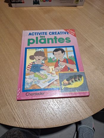 Activité créative les plantes