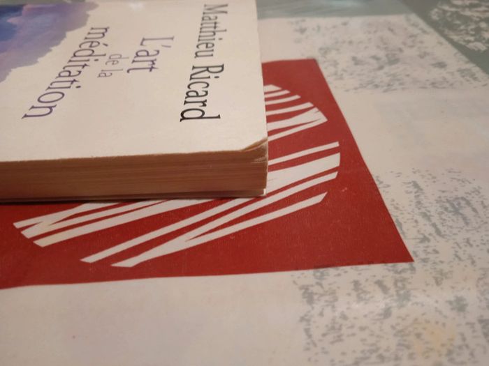 L'art de la méditation - photo numéro 3