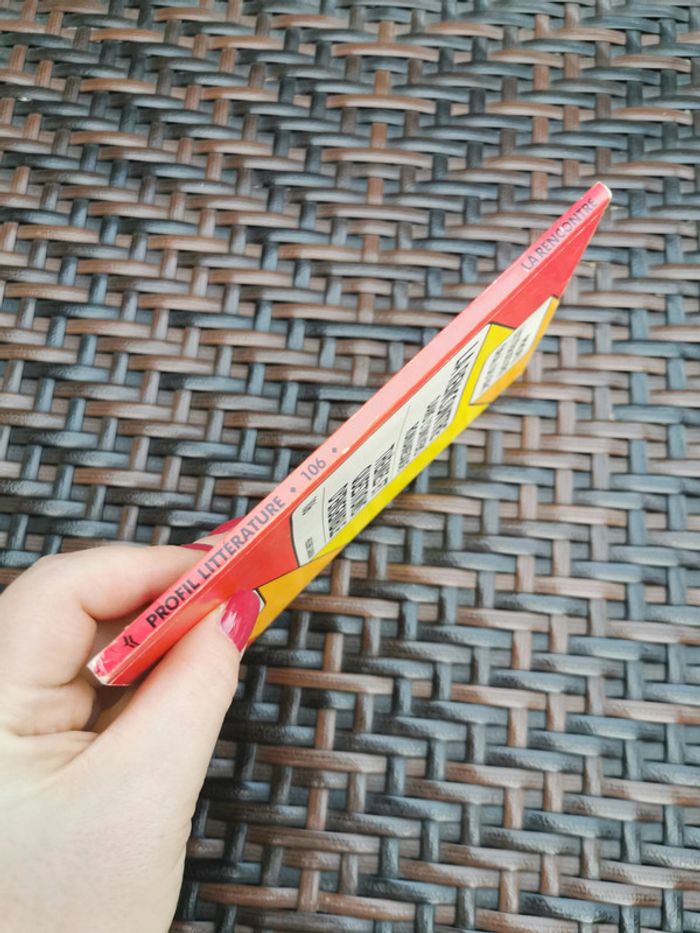 La rencontre dans l'univers romanesque. Profil littéraire oral du Bac - photo numéro 7