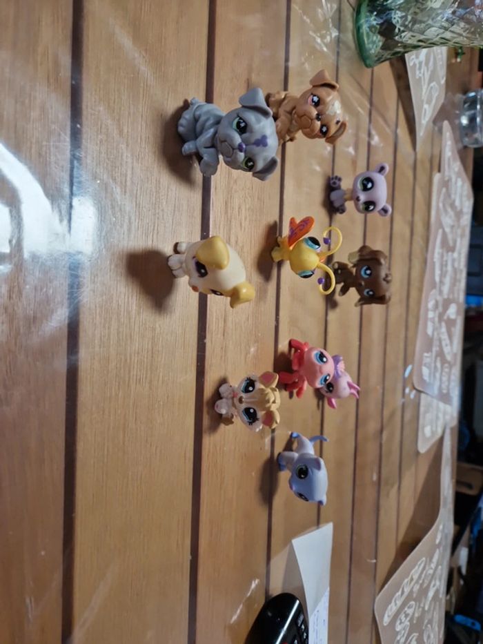 Lot petshop (7)