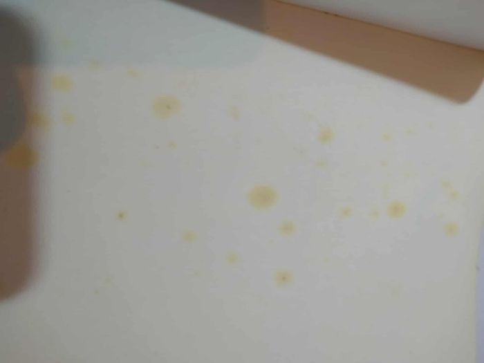 Les Héritiers d'Enkidiev – Tome 2 - Nouveau monde - photo numéro 2