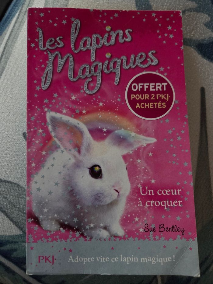 Livres les lapins magiques n°1