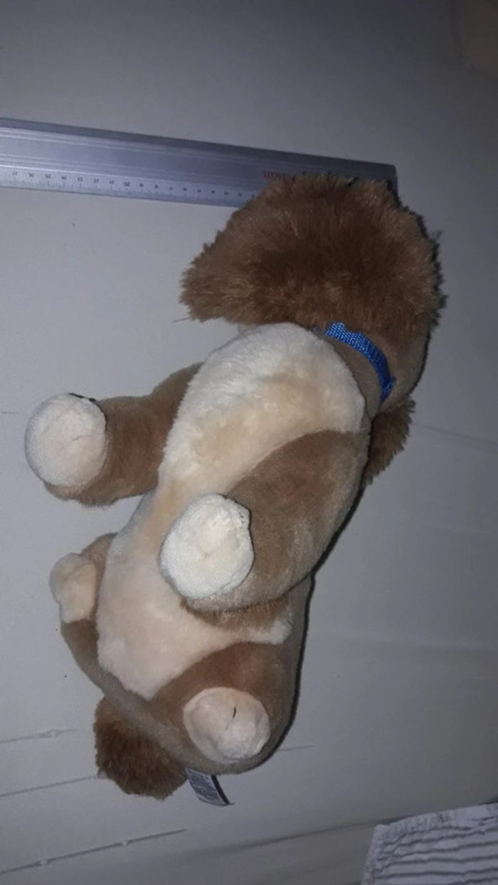 Belle et le clochard peluche - photo numéro 2