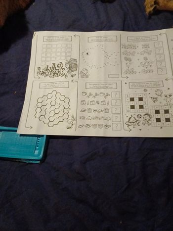 Roulleau  d exercice