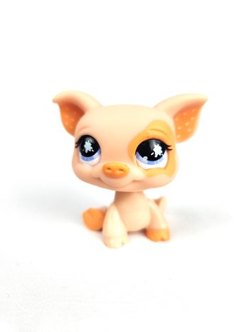 Littlest Petshop LPS Cochon Orange #885
