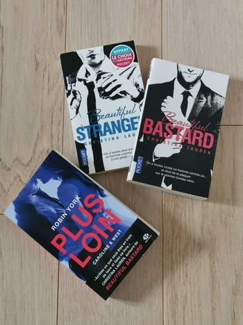 Lot 4 romans New Romance - Beautiful Bastard + Beautiful Stranger 