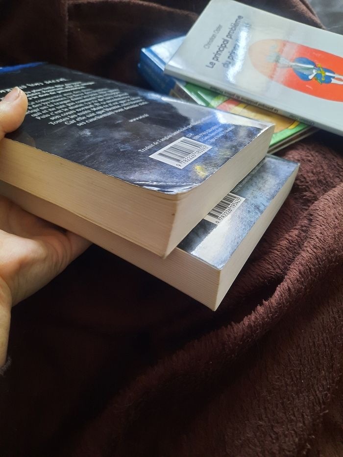 Tome 1 et 3 Laurie farine stolarz gris secret bleu cauchemar - photo numéro 4