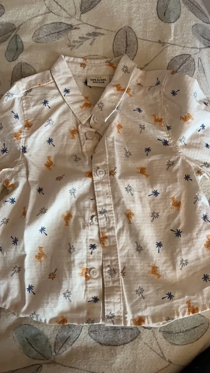 Chemise