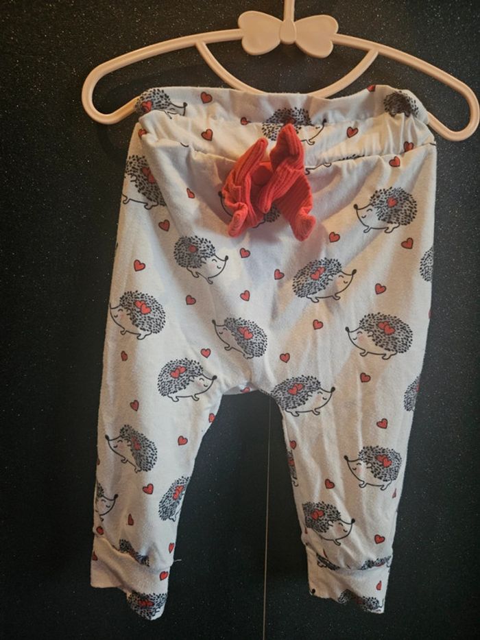 Ensemble hérisson - photo numéro 2