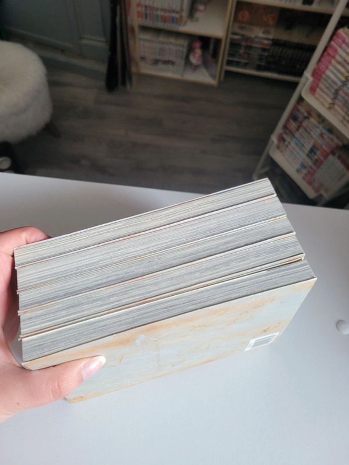 Lot 5 premiers tomes du manga rozen maiden saison 1 - photo numéro 15