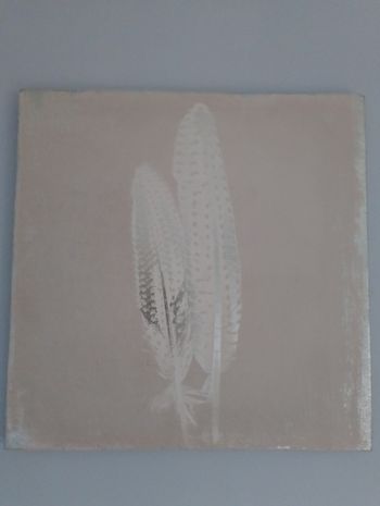 Toile motif plumes