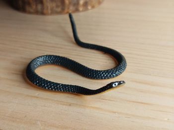 Figurine serpent noir