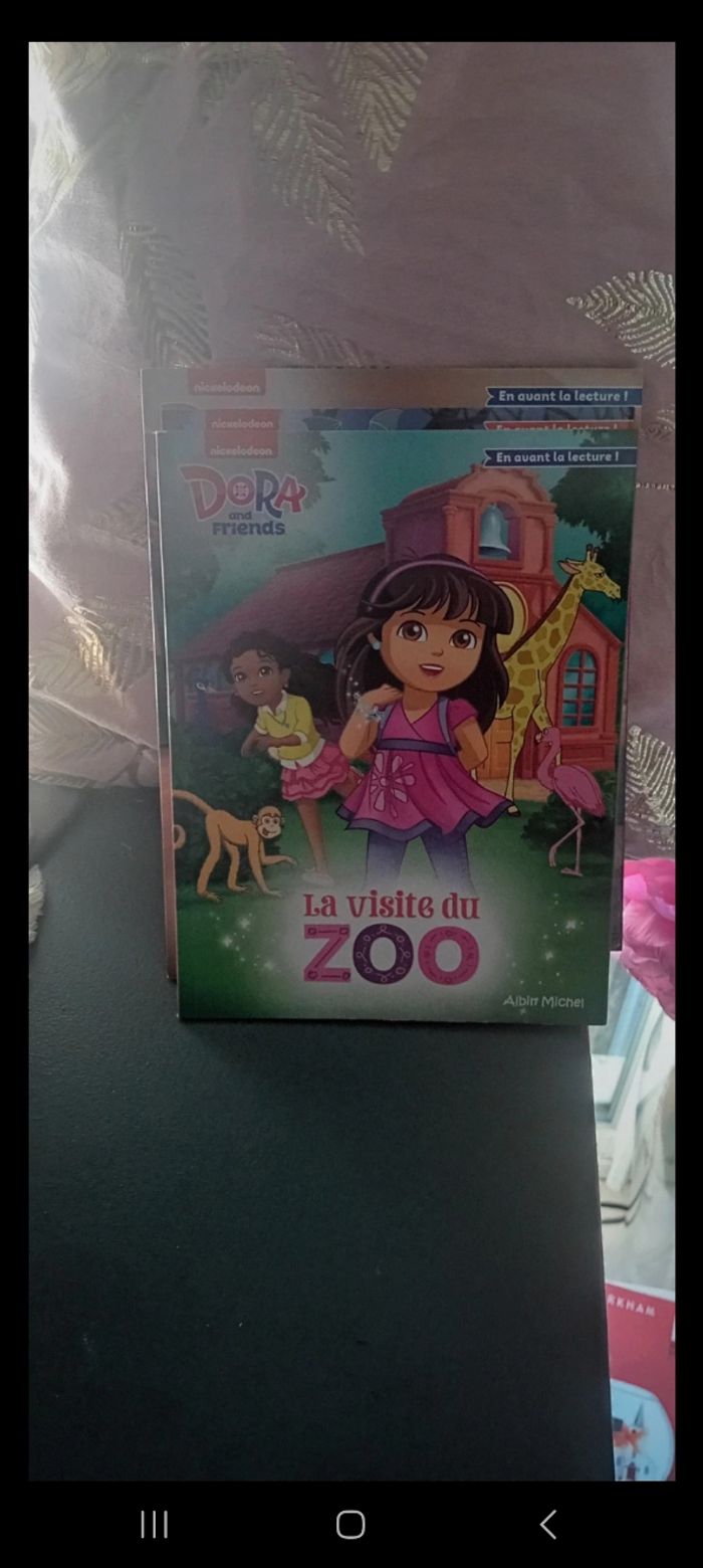 Lot livres pour enfant - photo numéro 5