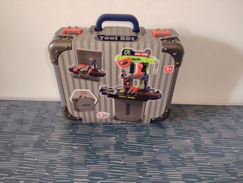 Établie en valise