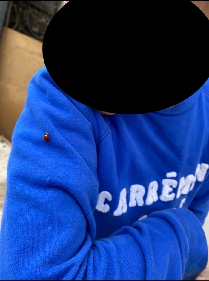 Pull Carrément Beau france 🇫🇷 10 ans