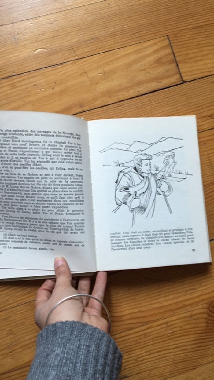 La route des oiseaux - photo numéro 4