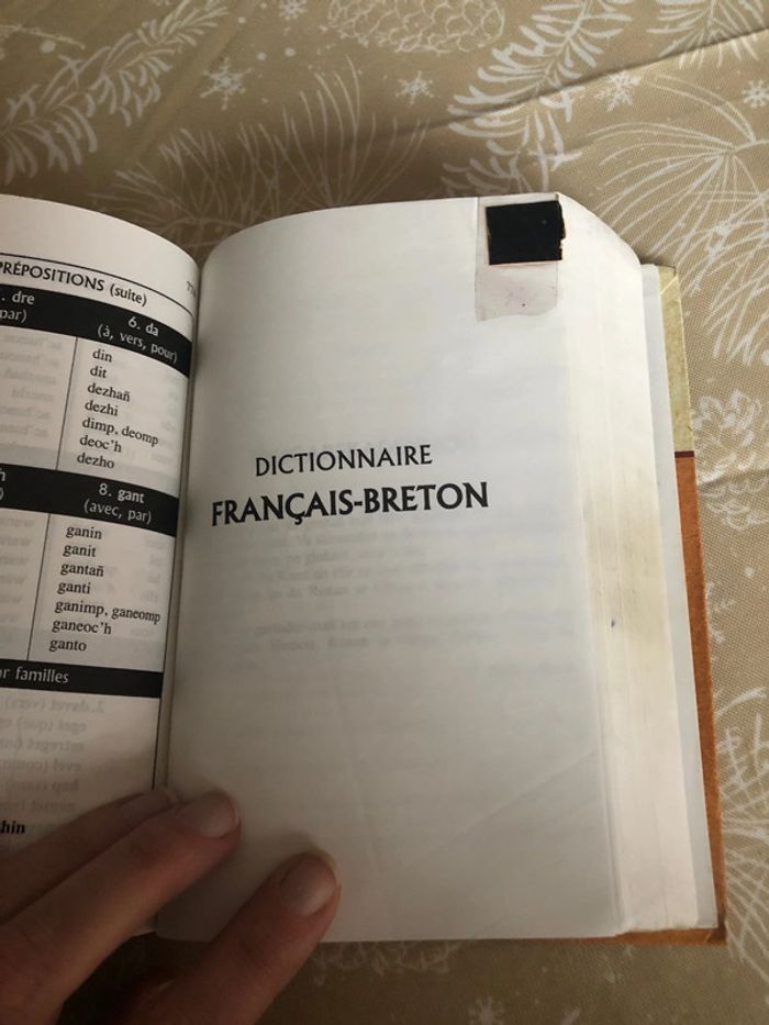 Dictionnaire - photo numéro 3