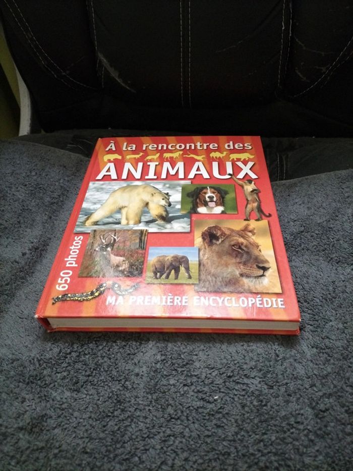 Ma première encyclopédie 🌟