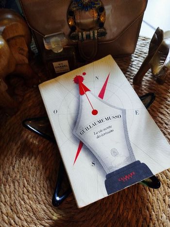 Roman La vie secrète des écrivains