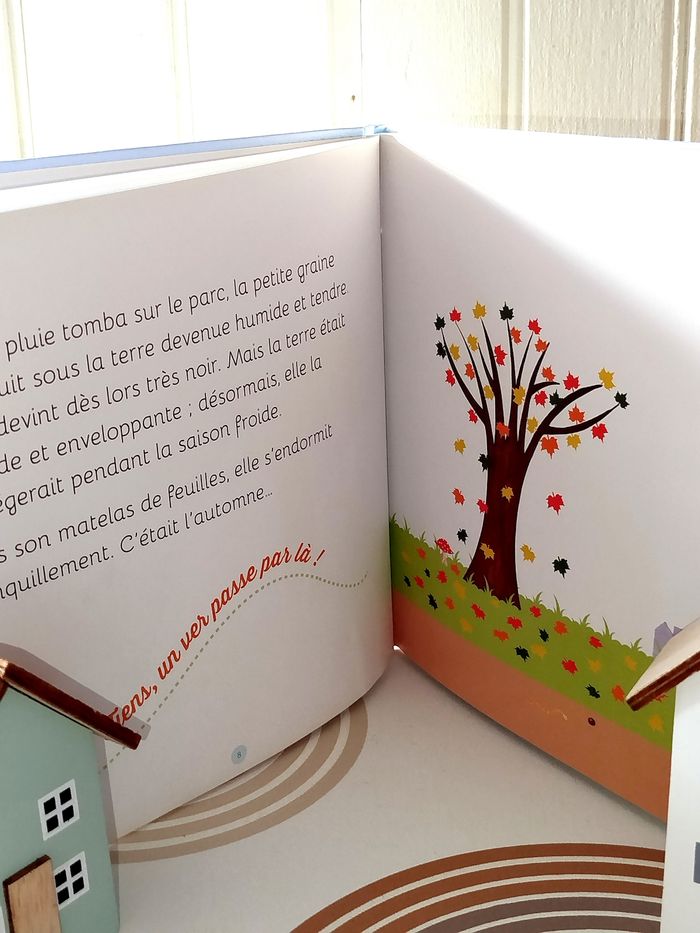 📚 Éditions Belize La fleur et les saisons - photo numéro 2