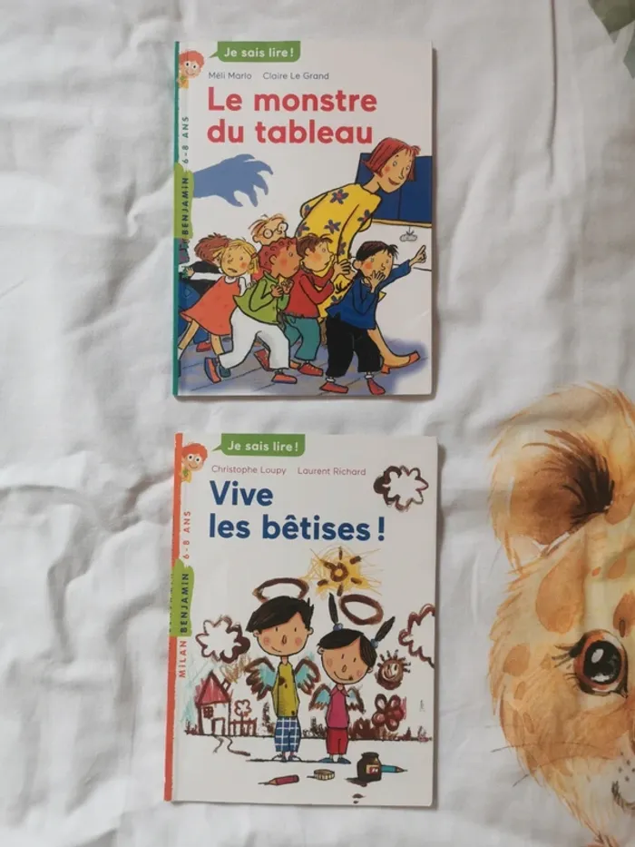 Lot 2 livres je sais lire