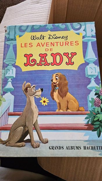 Gros lot livres Disney vintage