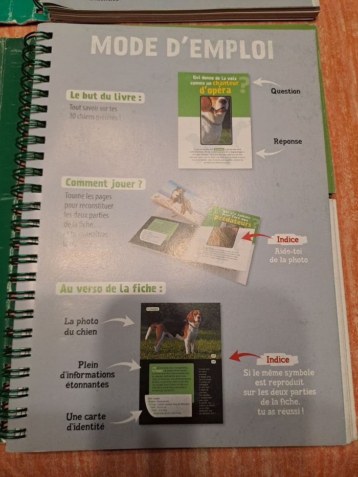 Lot 2 défis nature - photo numéro 2