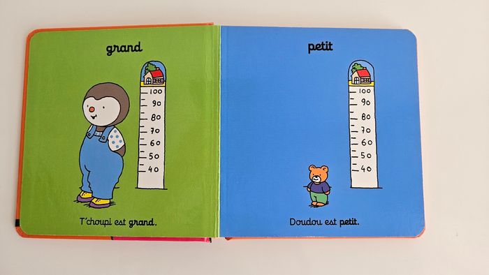 Lot 10 livres T'choupi - photo numéro 5