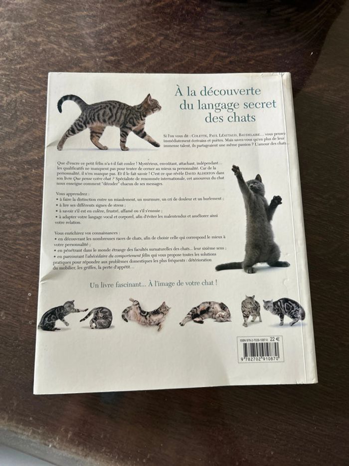 Que pense votre chat? - photo numéro 2