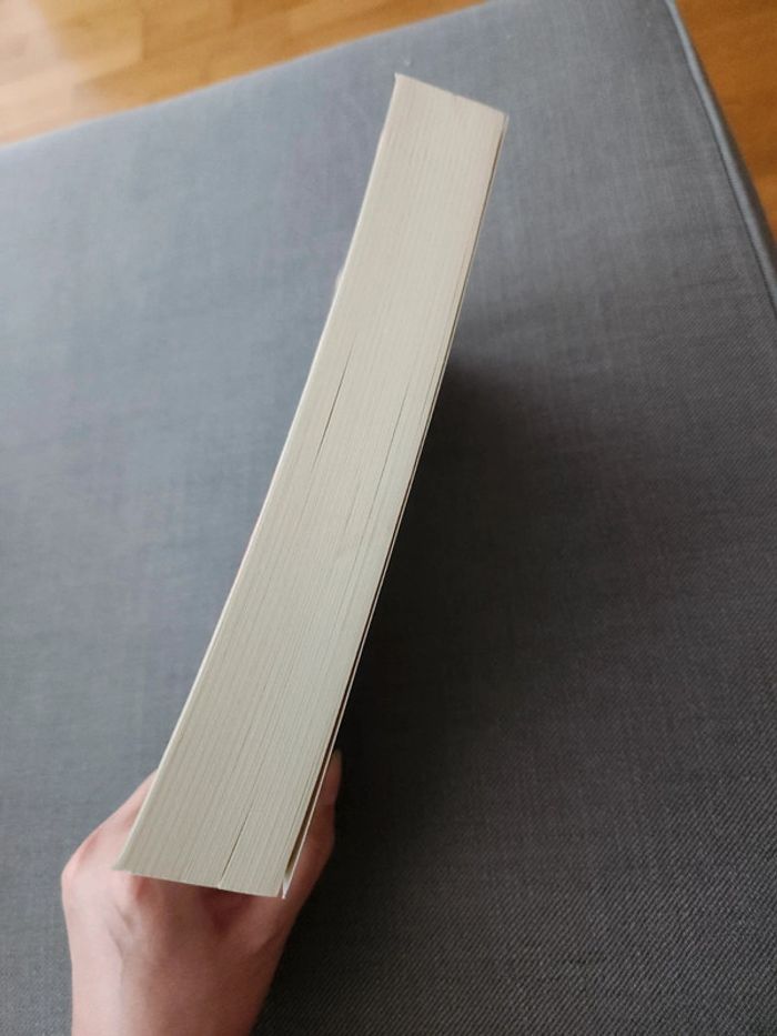 En lot ou à l'unité: Livre Elle & Lui - Marc Levy - photo numéro 4