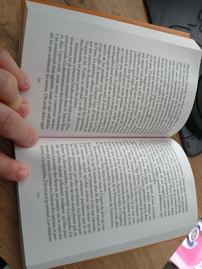 LIVRE MISERICORDIA DE LIDIA JORGE - photo numéro 3