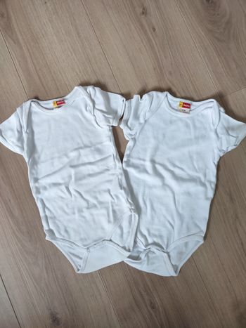 Lot 2 bodies 12 mois