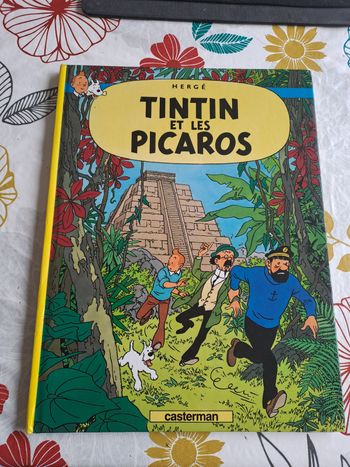 Tintin et les picaros