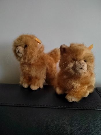 Paire de chats Steiff