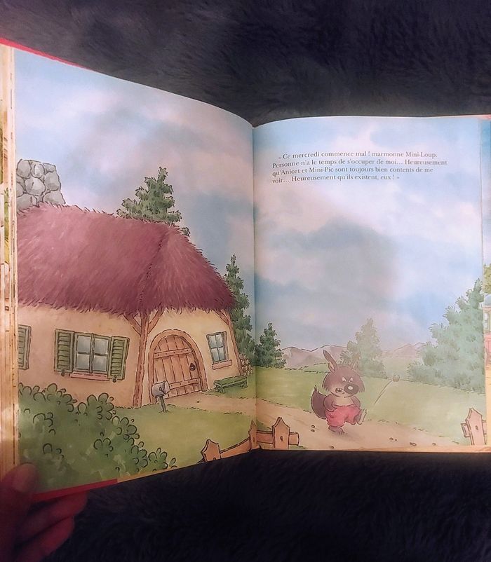 Livre de 3 histoires sur les aventures de Mini Loup - photo numéro 5