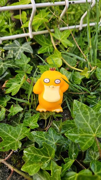 Super figurine Pokemon Psykokwak
