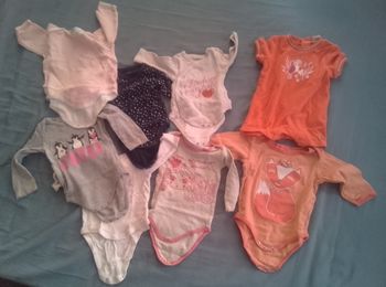 Lot 8 bodies